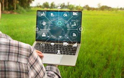 Грижа за тревата: IoT и технологични иновации в поддръжката на тревата